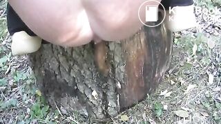 NSG pooping in tronc d arbre
