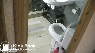 Voyeur Toilet Dump