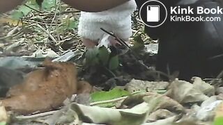 NSG beau poop in foret