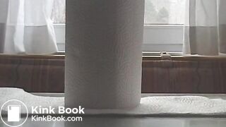 Paper Towel Poop