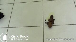 Awesome poop