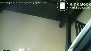 1817_toilet_slave