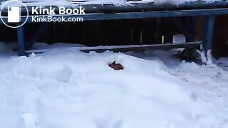 Pregnant Poop