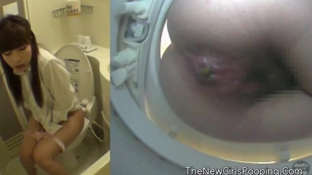 Japanese Western Toilet Bowlcam 31