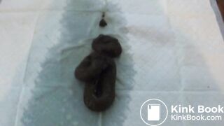 Early Poo Alexa 1