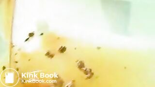 sp3trailer[1]