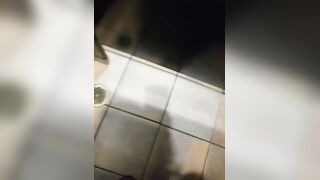 Shit in restaurant bathroom