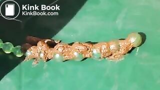 beads, dildo and garden hose enema