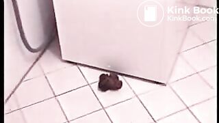 hot pregnant shitting