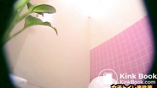 japanese toilet 2