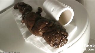 A gigantic turd