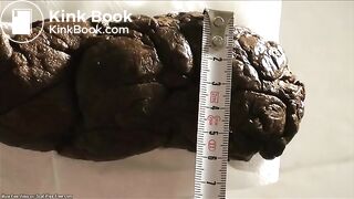 A gigantic turd