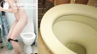 Poo1411