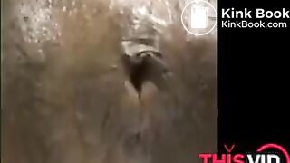 OPHMCUM0027