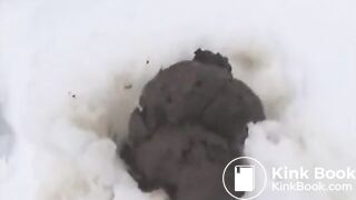 Nina's big poop in the snow