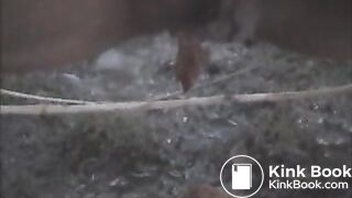 GirlPooping (6)