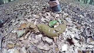 On the forest floor