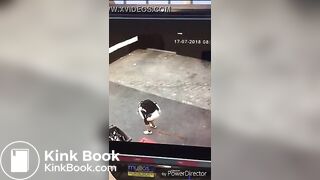 Desperate poop and diarrhea