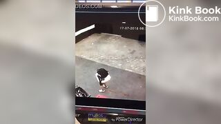 Desperate poop and diarrhea