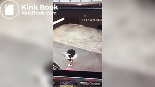 Desperate poop and diarrhea