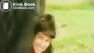 the horse shited on girl's head