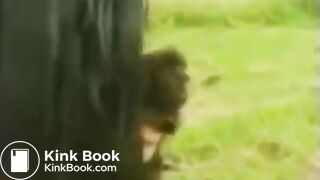 the horse shited on girl's head