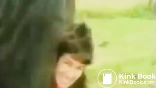 the horse shited on girl's head