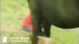 the horse shited on girl's head