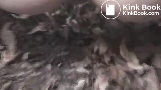 clip213