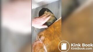 feed- preview 2