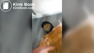 feed- preview 2