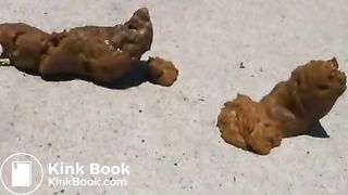 CGP1
