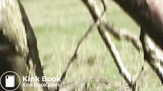 lucy country1