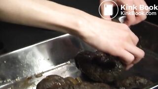 LONGEST TURDS EVER!!! by a cute japanese girl