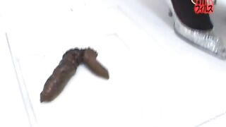 nice shit