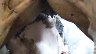Two dirty girls 2