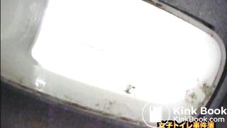 japanese toilet 3