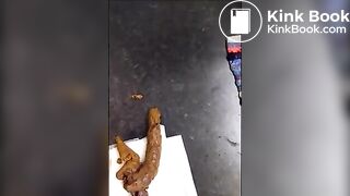 Shitting