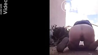 Outdoor Poop (poor quality)