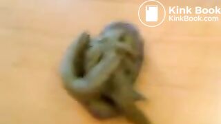 Kelly pooping after school