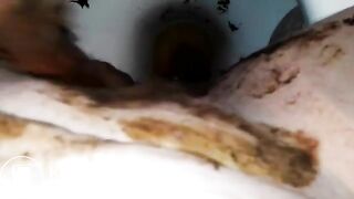 NASTY TOILET FREAKS