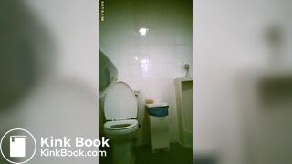 toliet9