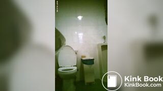 toliet9
