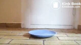 IFHMTEM0001