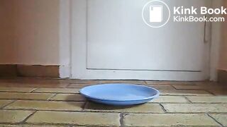 IFHMTEM0001