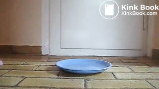 IFHMTEM0001