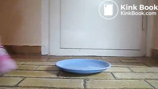 IFHMTEM0001