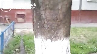 drunk russian girl passed out after pooping in the street - uncensored version