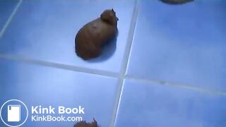 Scat Queens (7)