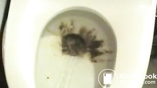 Josie Dumps Different Places 2